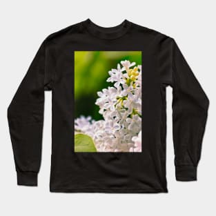 White Lilac Flowers Long Sleeve T-Shirt